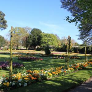 Flower beds in the Abbey Gardens