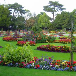 Colourful flower beds in the Abbey Gardens 